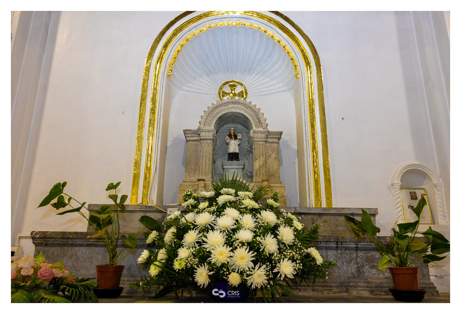 Fiestas San Buenaventura 2026